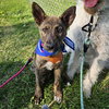 Kayah - Photo 19