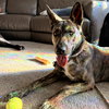 Kayah - Photo 14