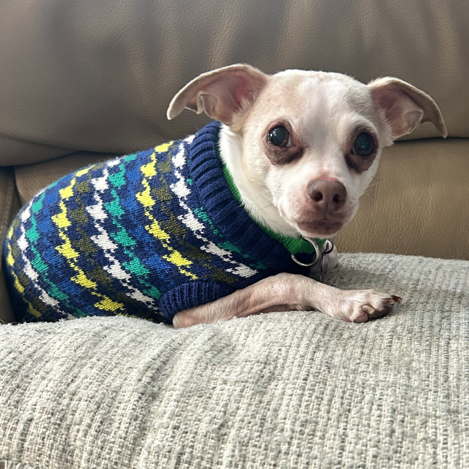 Eugene