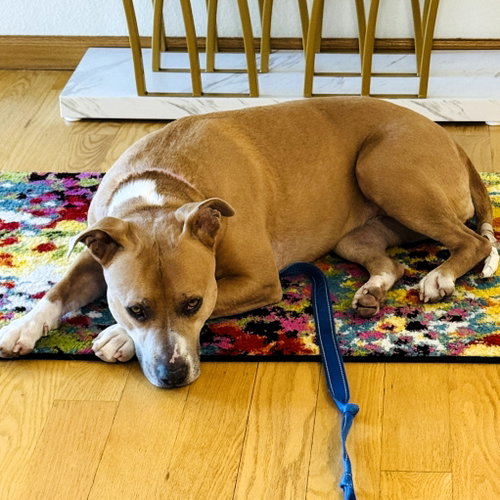 Hazel Lee, photo 12
