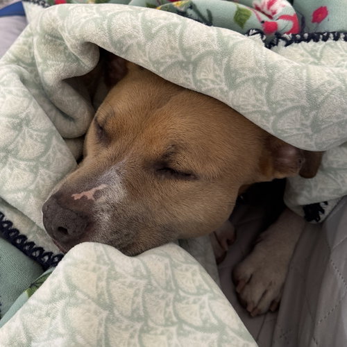 Hazel Lee, photo 11