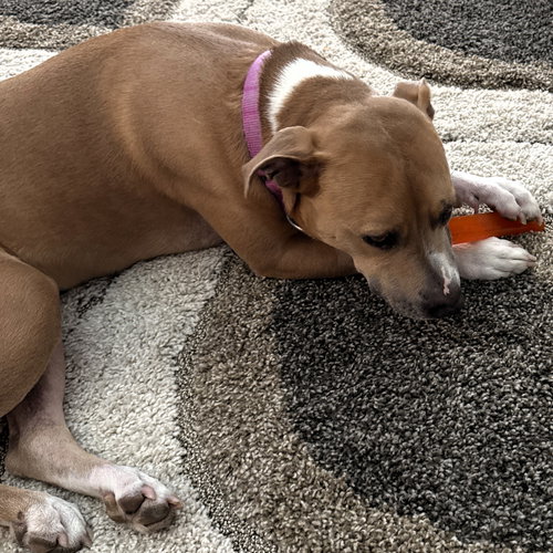 Hazel Lee, photo 10