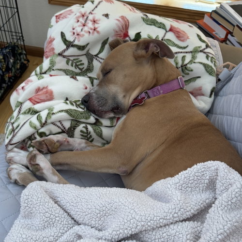 Hazel Lee, photo 6