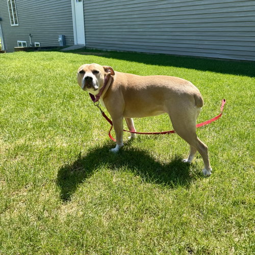 Hazel Lee, photo 2