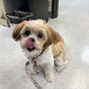 Pixel