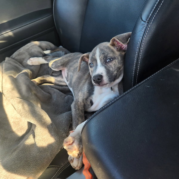 Kaiyah