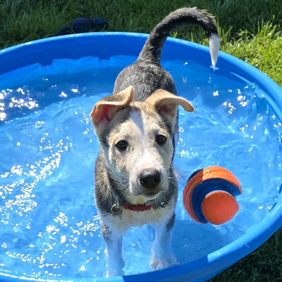 Kojak, photo 17