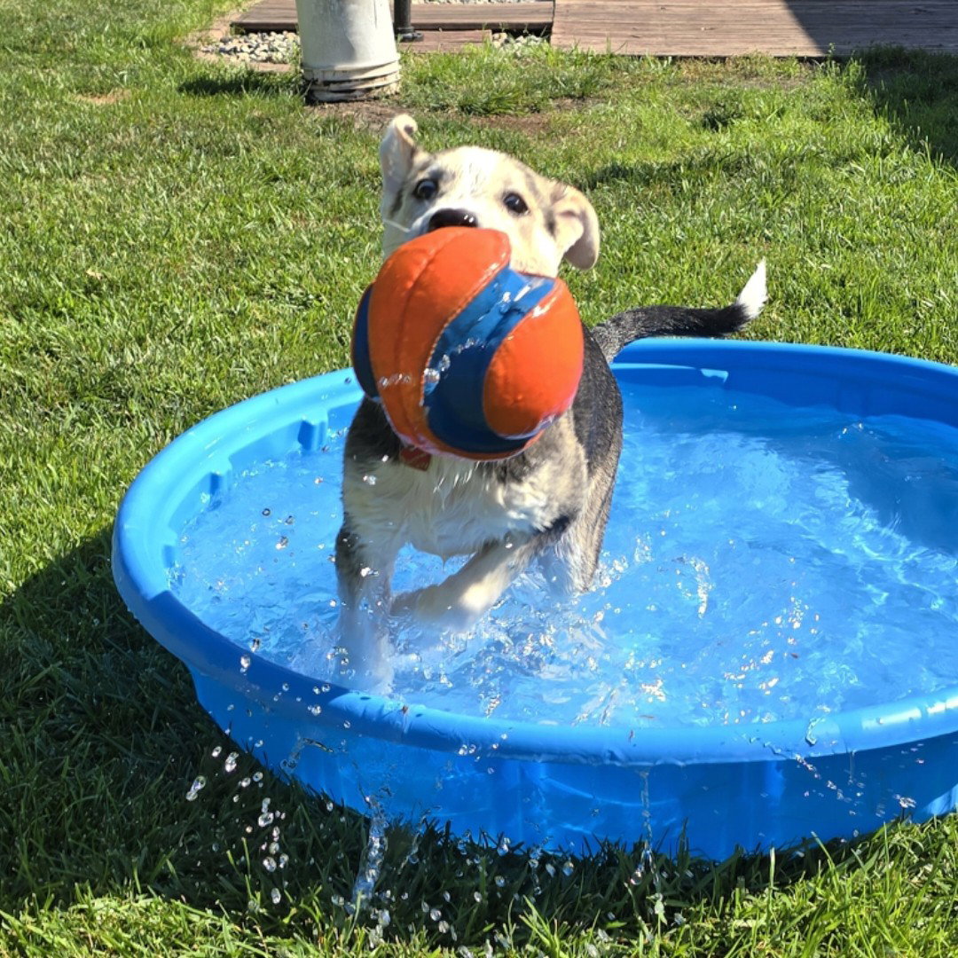 Kojak, photo 18