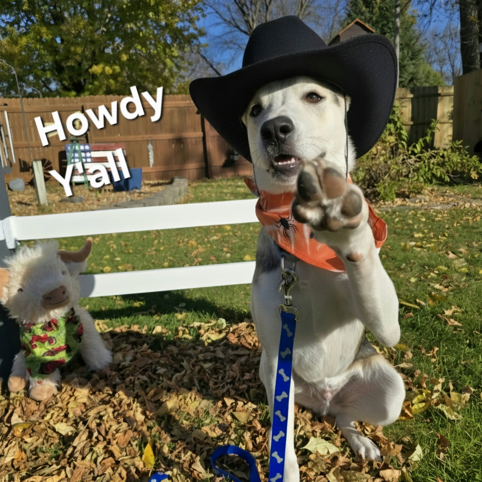 Kojak