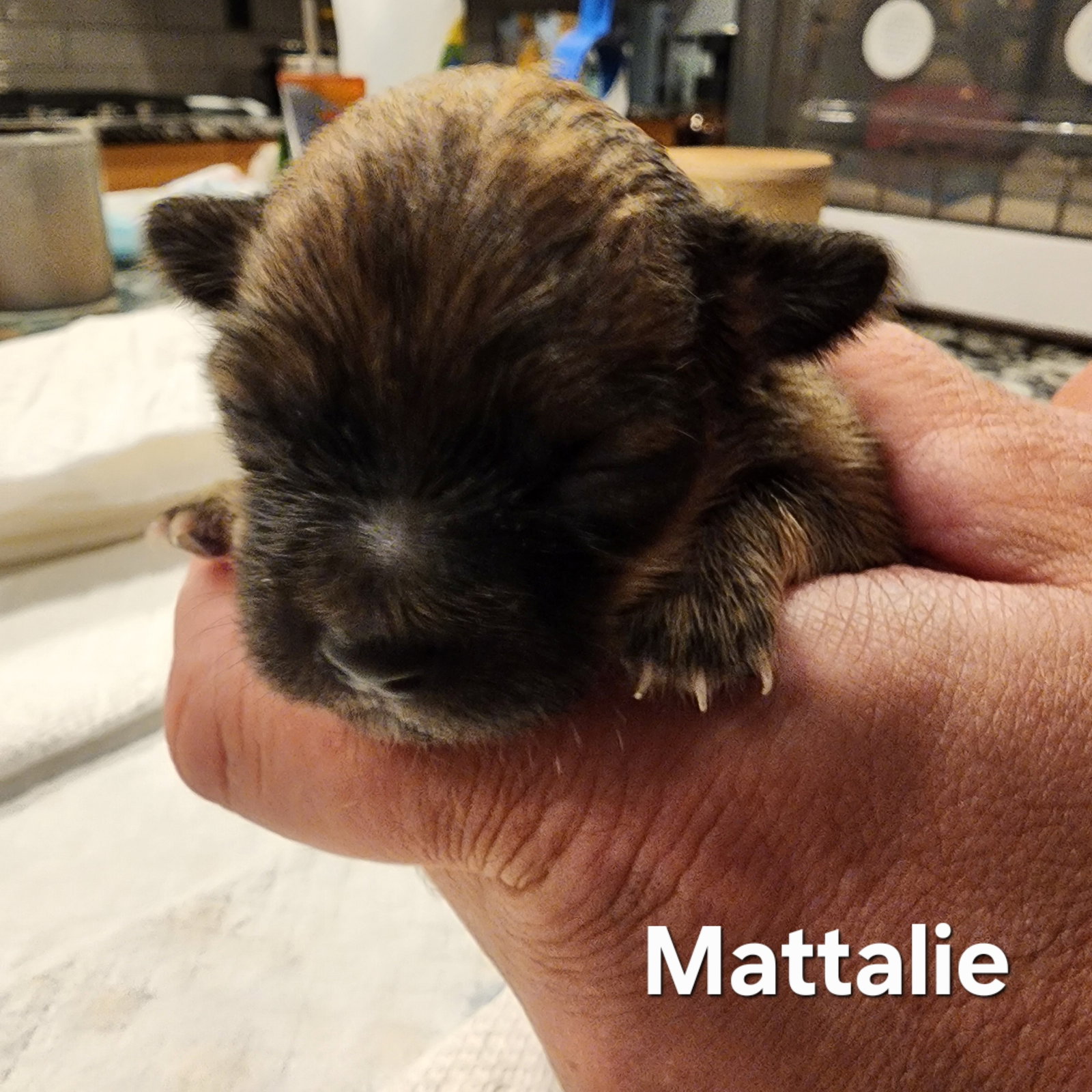 Mattalie