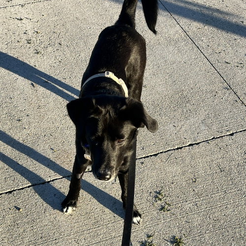 Erling photo 7