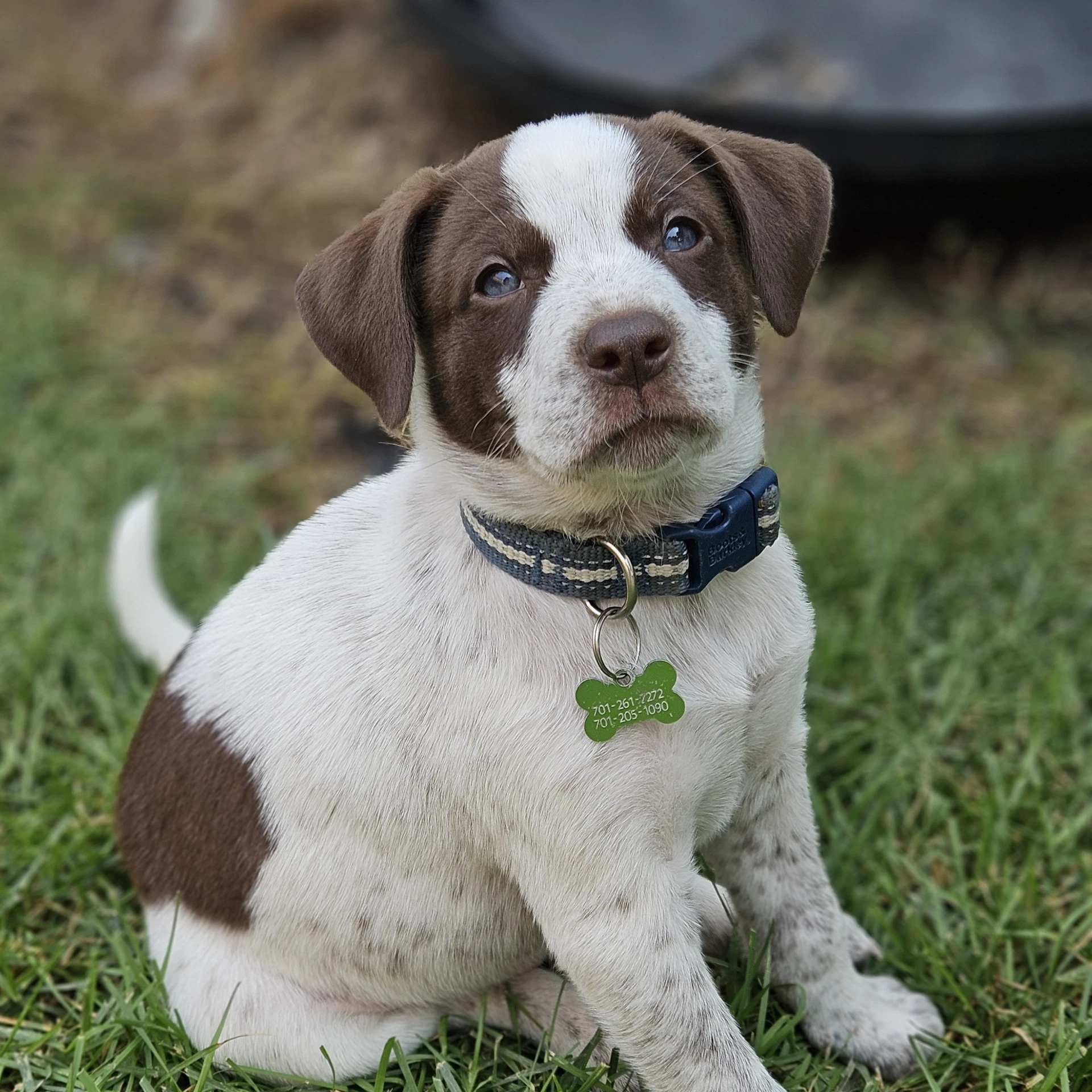 Franklin Finbar