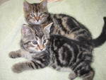 Jody & Jacob