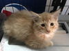 Marvin