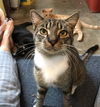 Tom