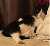 Kitu & Liisu