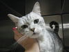 Max - WOW handsome!!