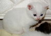 Moby