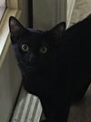 Missy