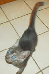 Tucker