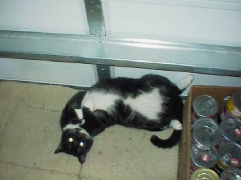 Tux
