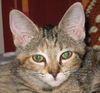 Suzie and Sassie