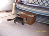 Miss Kitty