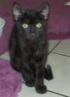 Grover