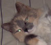 Molly