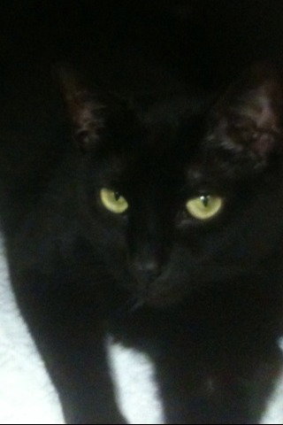 Missy