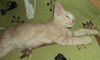Theodore N