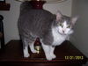 Martie