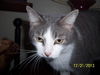 Martie