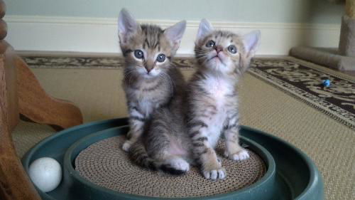 Markie & Riley
