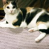 Peigi - Photo 2