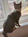 Drax - Photo 1