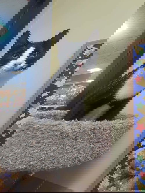 Gretal