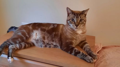 Jasper
