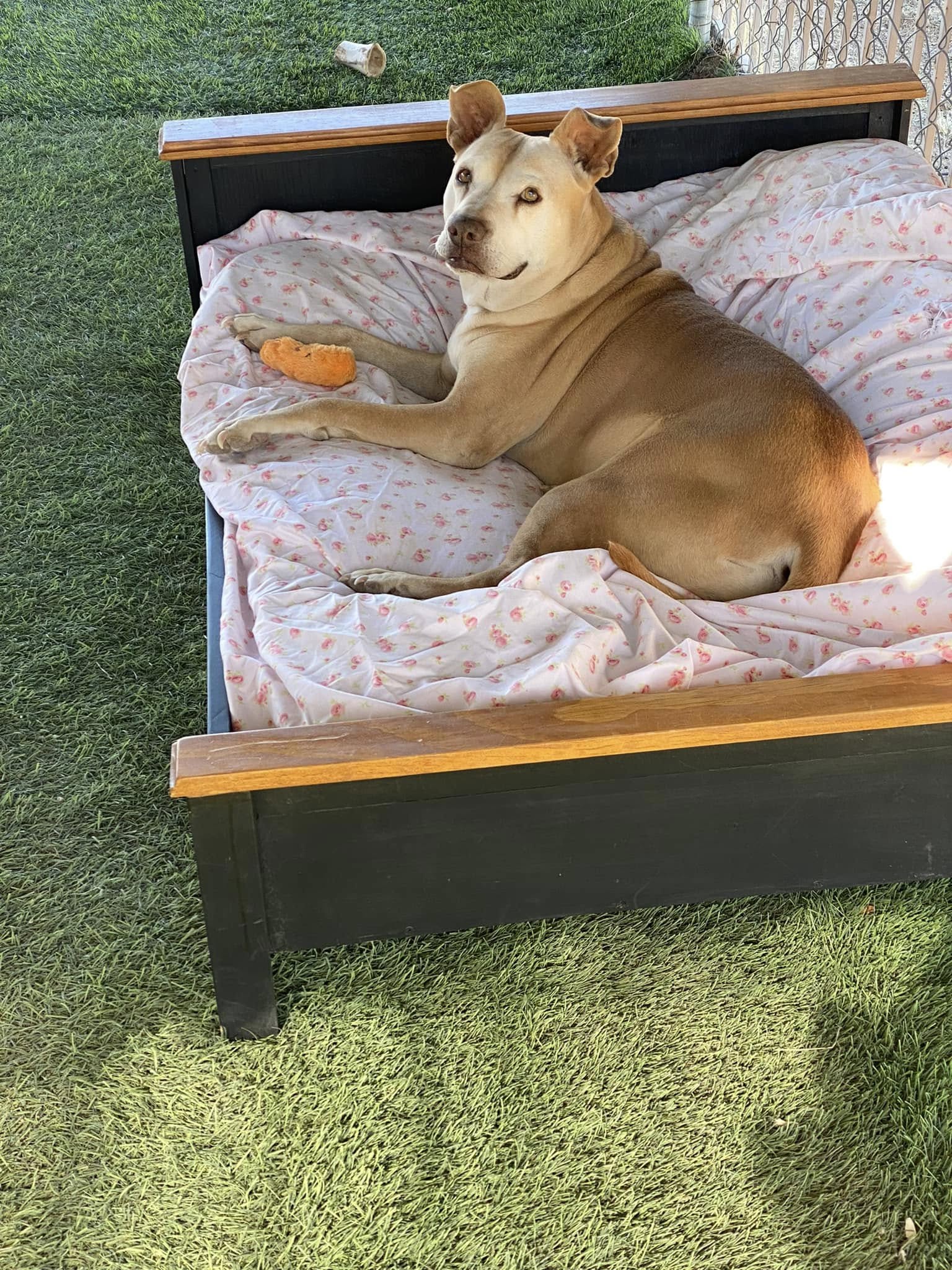 Missy image 2