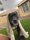 Kolby - Photo 3