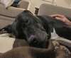 Kolby - Photo 5