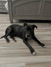 Kolby - Photo 6