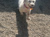 Sasha (Iaolani) - Photo 4