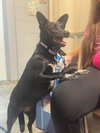 Bootsie - Photo 3
