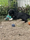Latrell - Photo 3