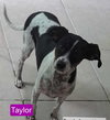 Paris Taylor - Photo 3
