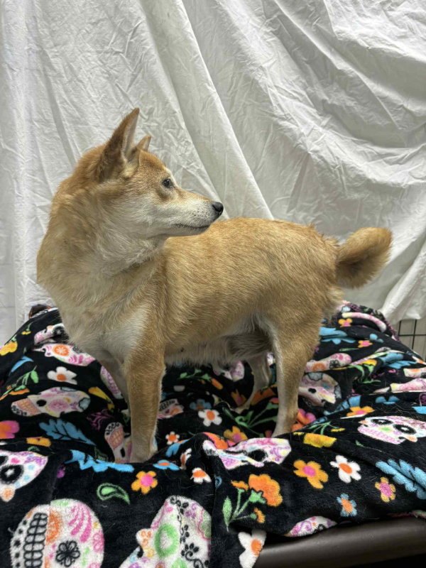 Nakita