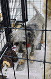 Savory Oreo - Photo 4