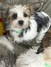 Wanda - Photo 2
