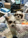 Wanda - Photo 3